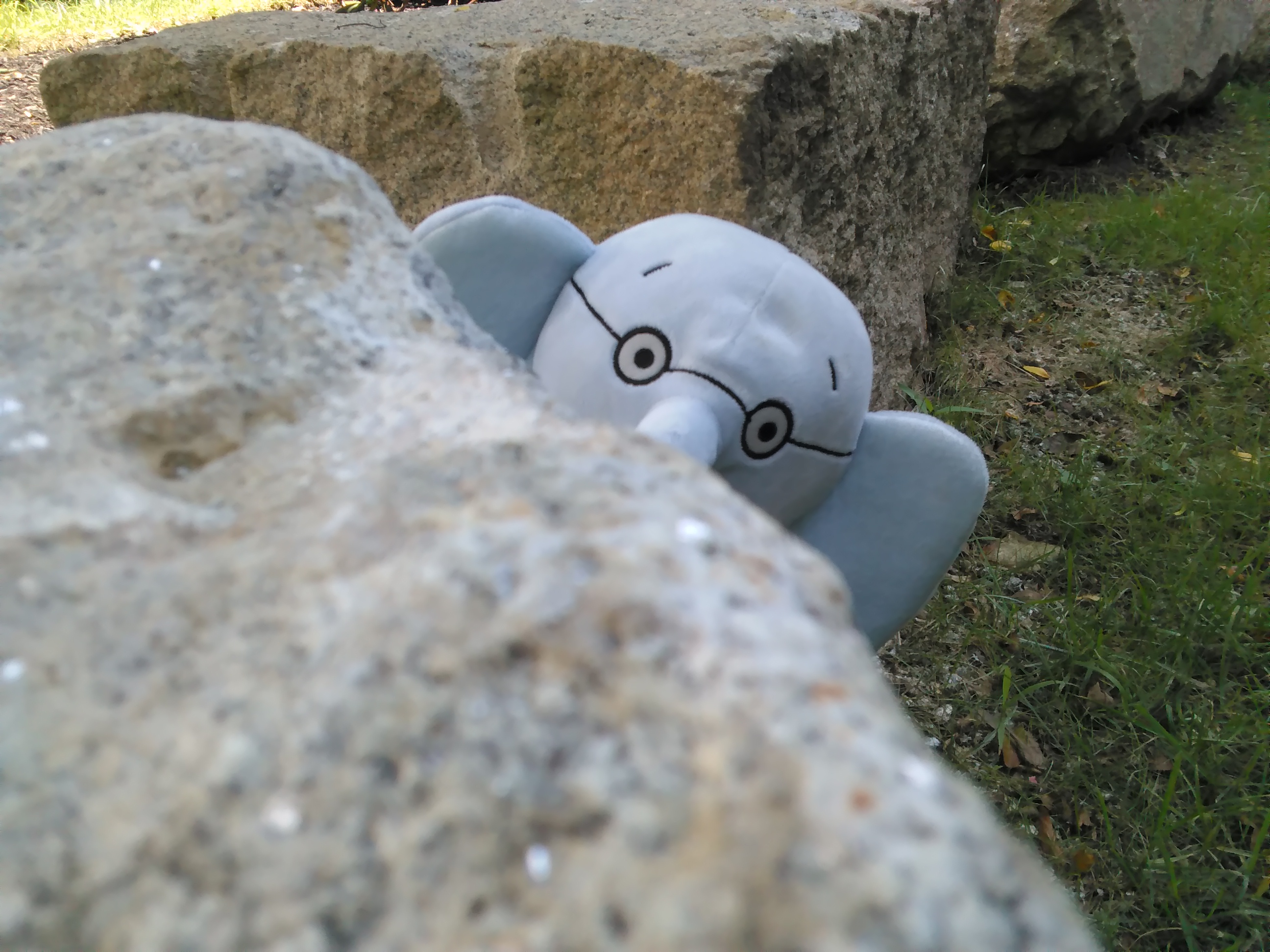 Gerald the elephant peeking out from behind a rock