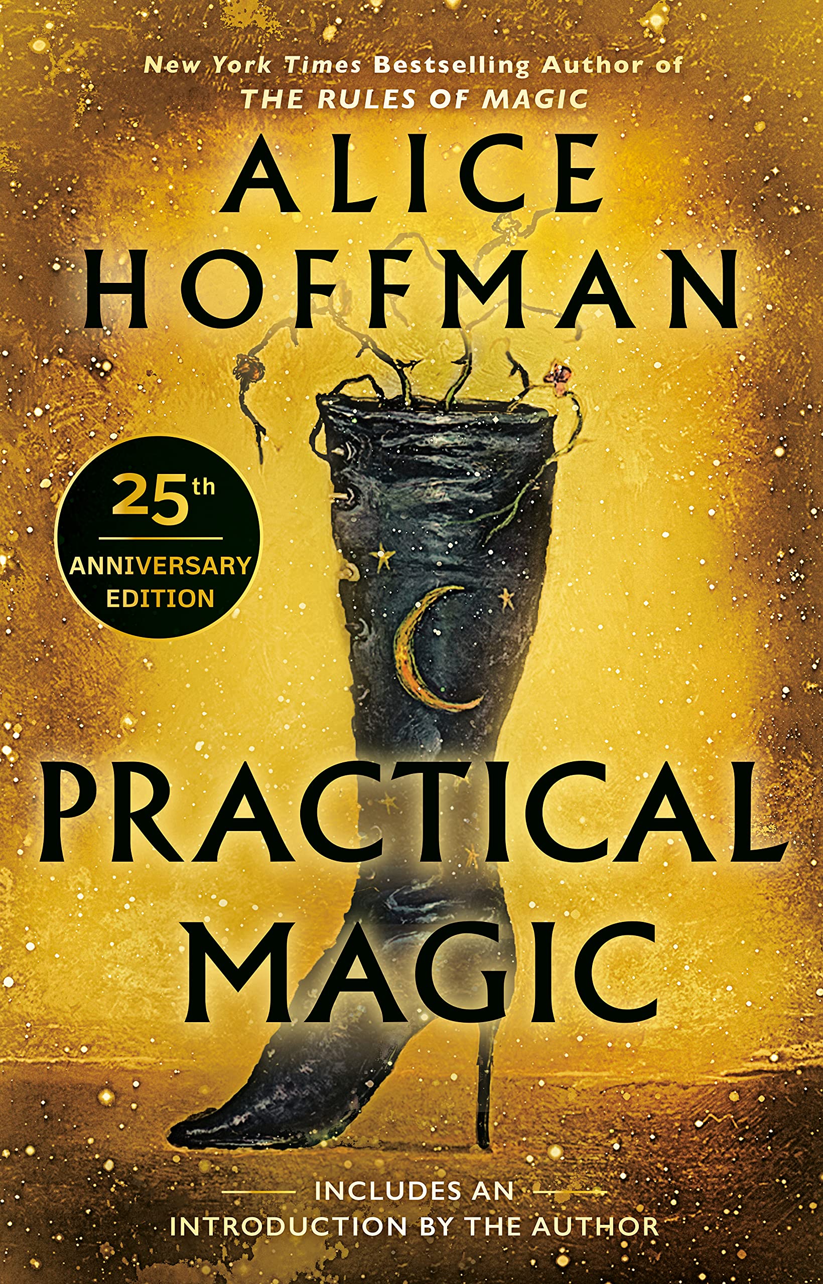 book cover 25th edition practical magic alice hoffman