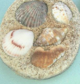 shells stuck in sandy clay ornament