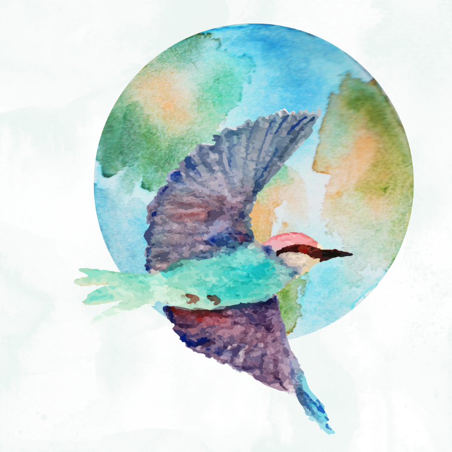 watercolor bird and globe