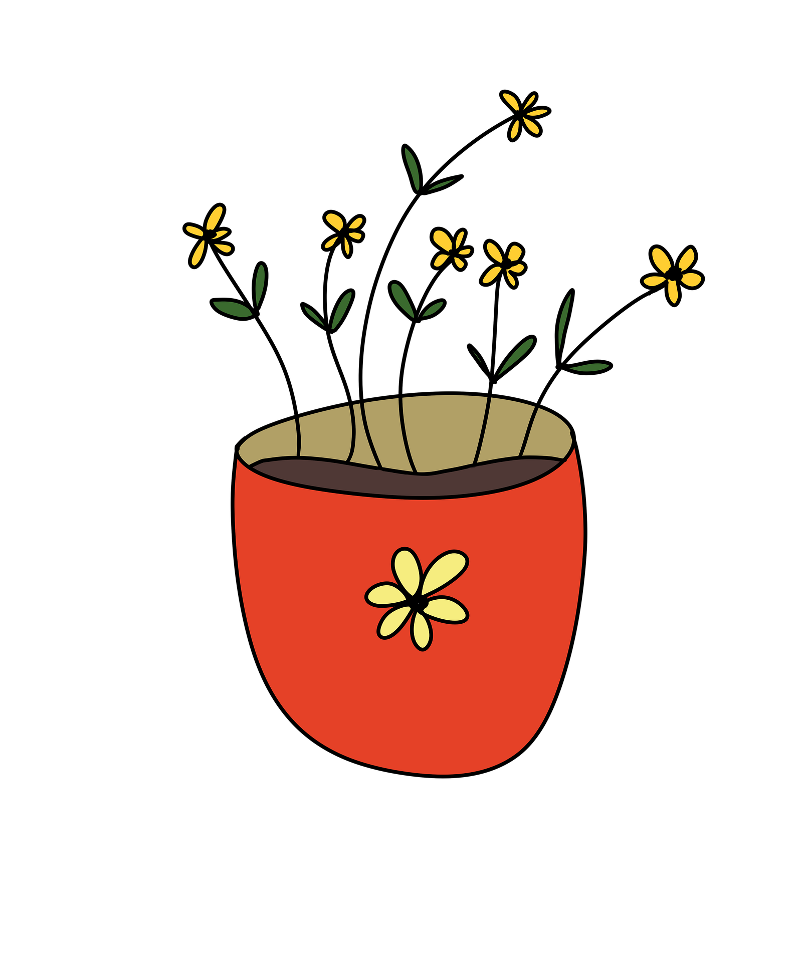 little pot with 6 spindly flowers