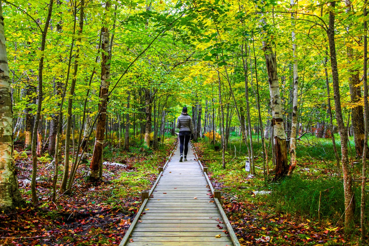 woman walking in forest path