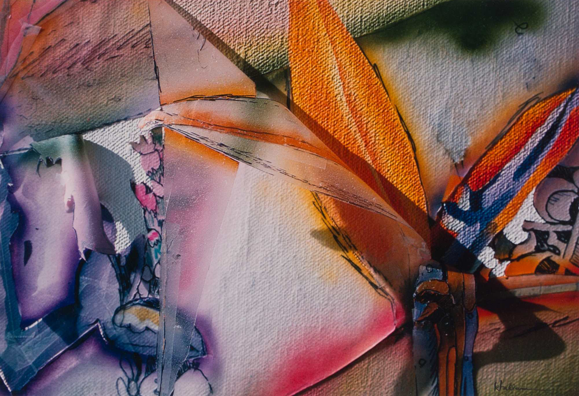 Birds of Paradise by Beverly Hallam