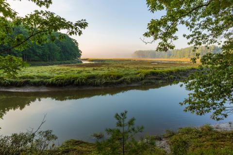 picture of smelt brook marsh