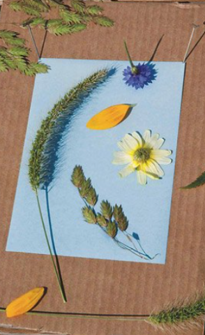 flowers and ferns arranged on a piece of paper