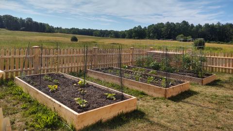 raised bed gardens in spring