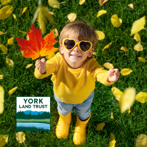 child surrounded by falling leaves wearing heart shaped sunglasses and rain boots