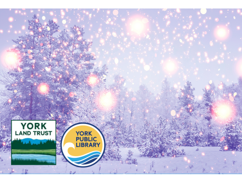 Winter scene with York Land Trust and York Public Library logos