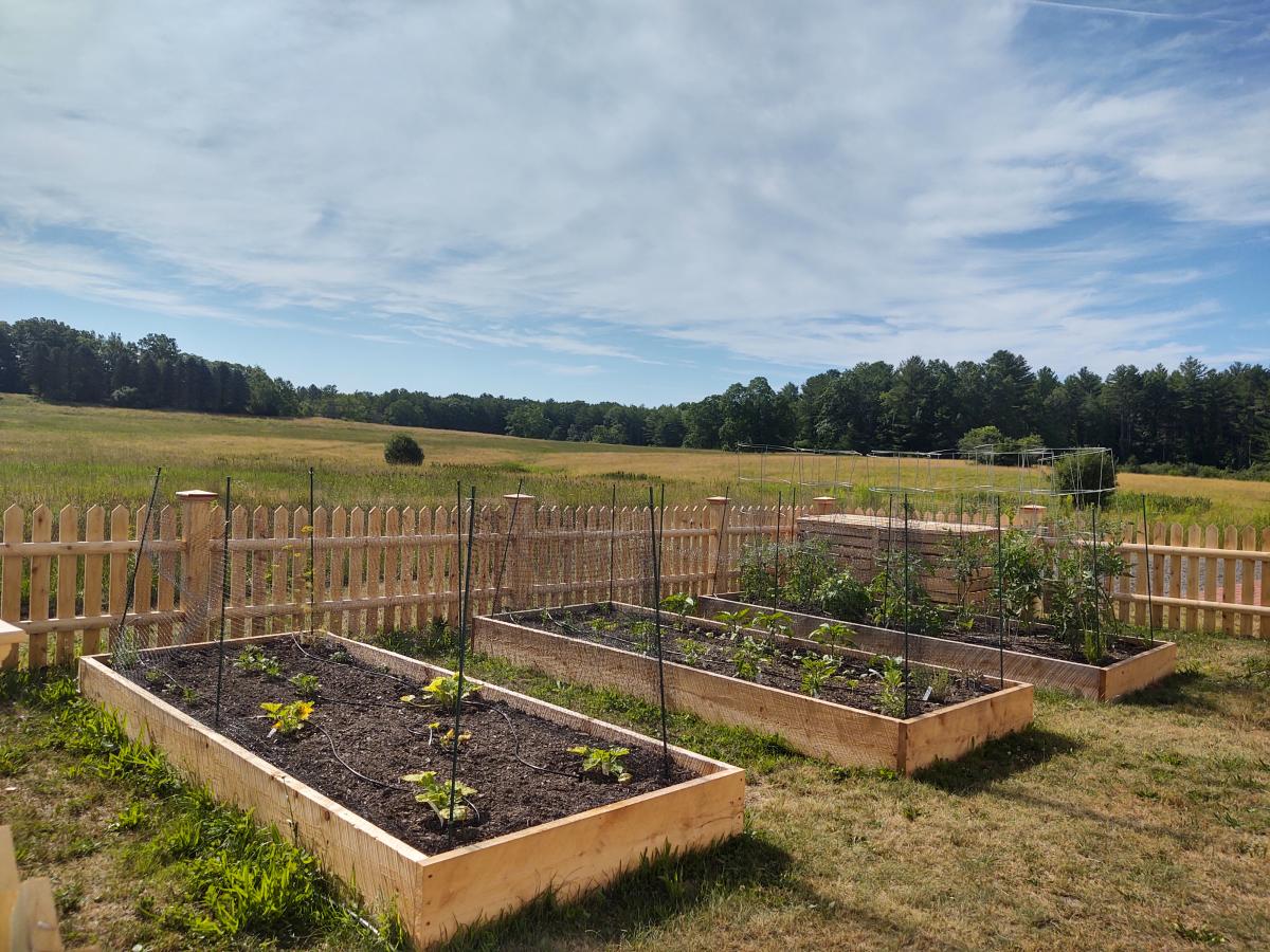 Raised garden beds