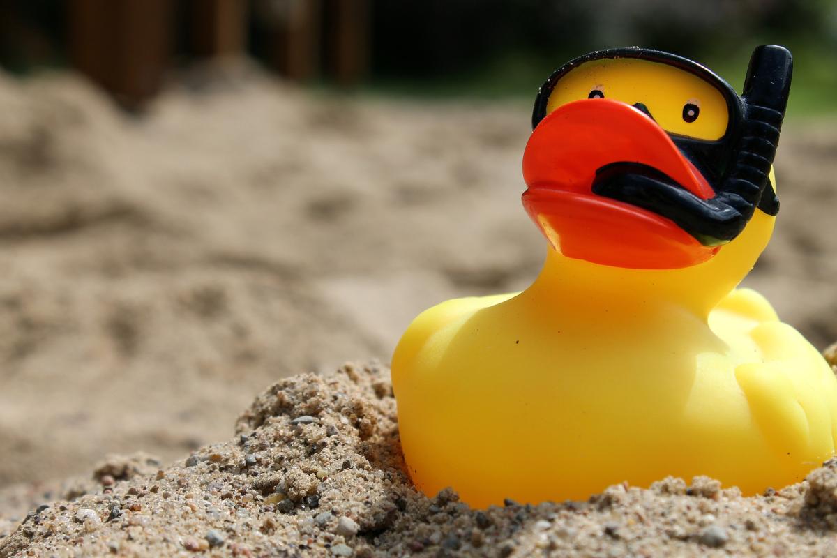 rubber duck in sand