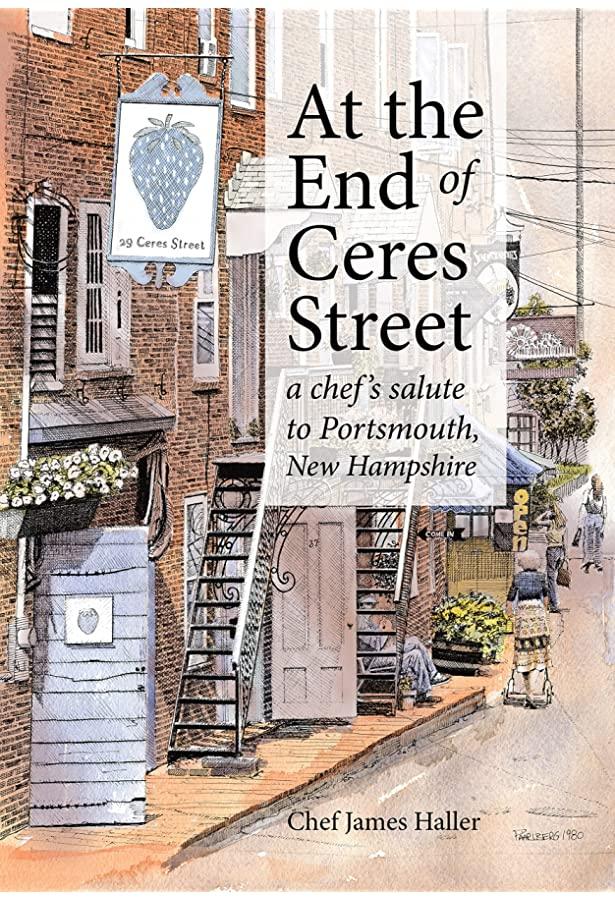 book jacket end of ceres street james haller