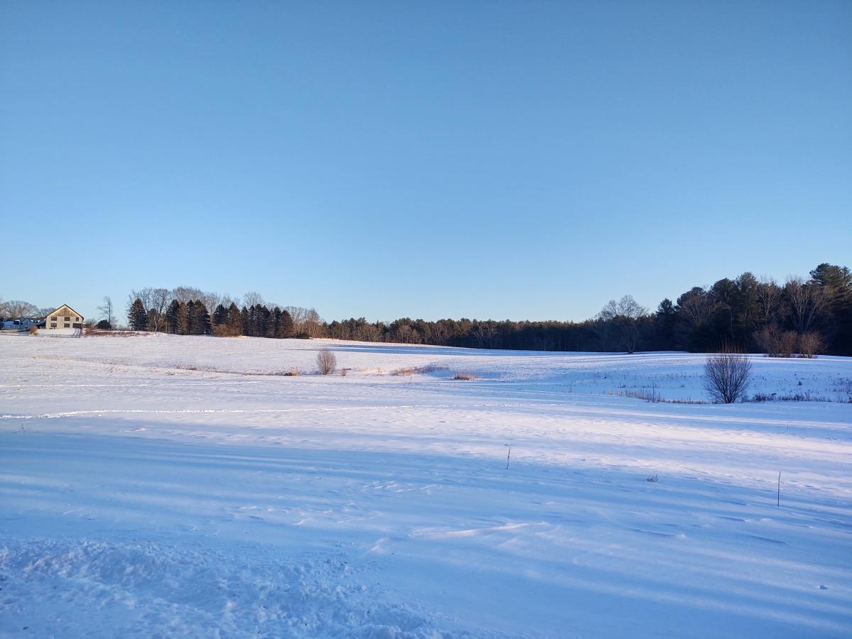 York Land Trust in snow