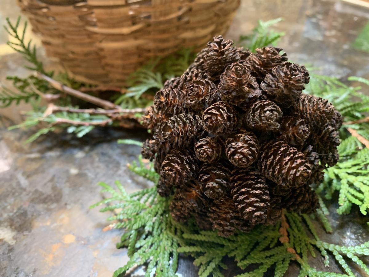 pinecone ball