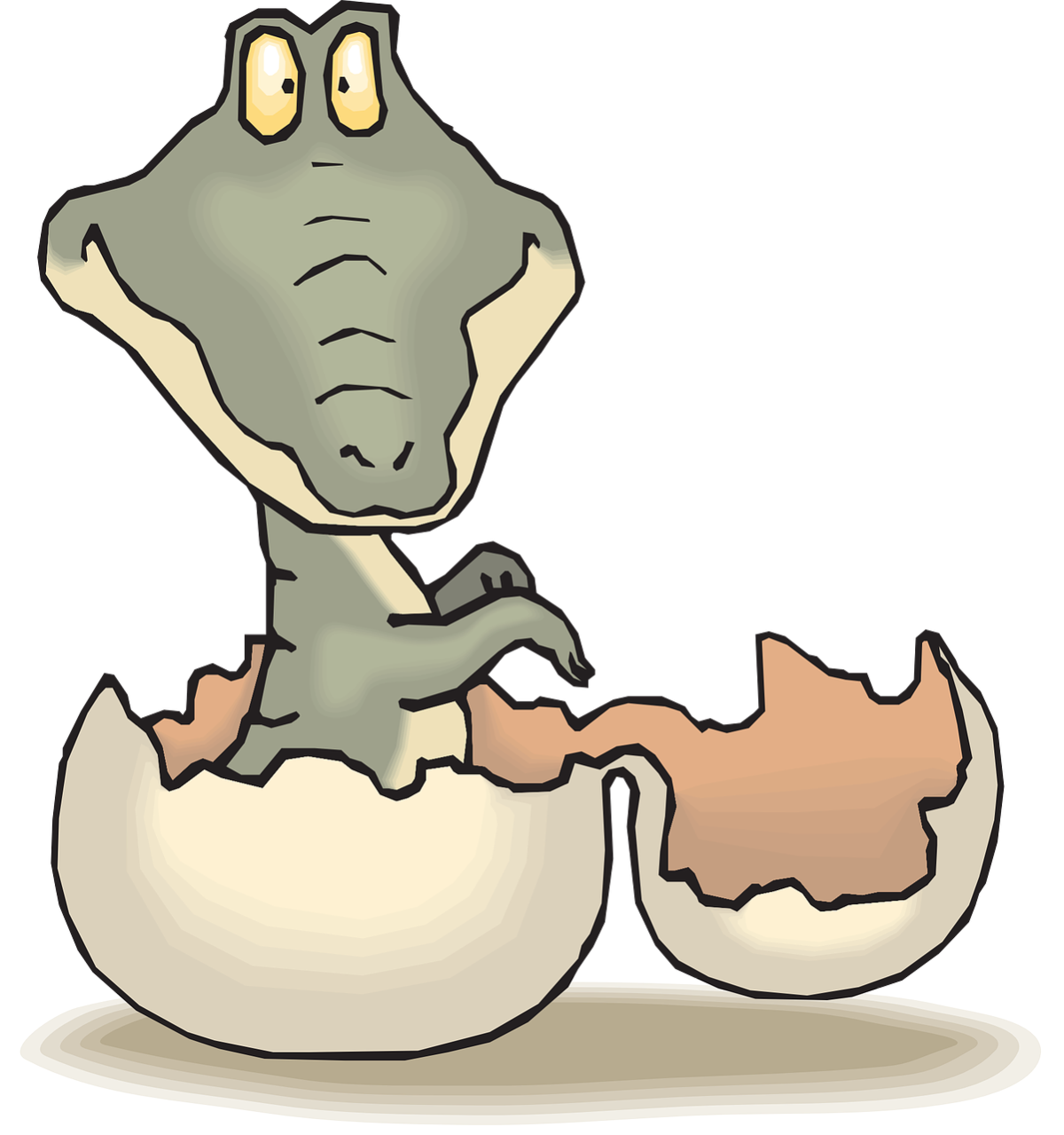 baby alligator cartoon hatching