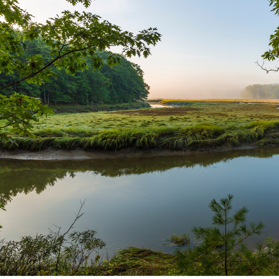 york land trust 