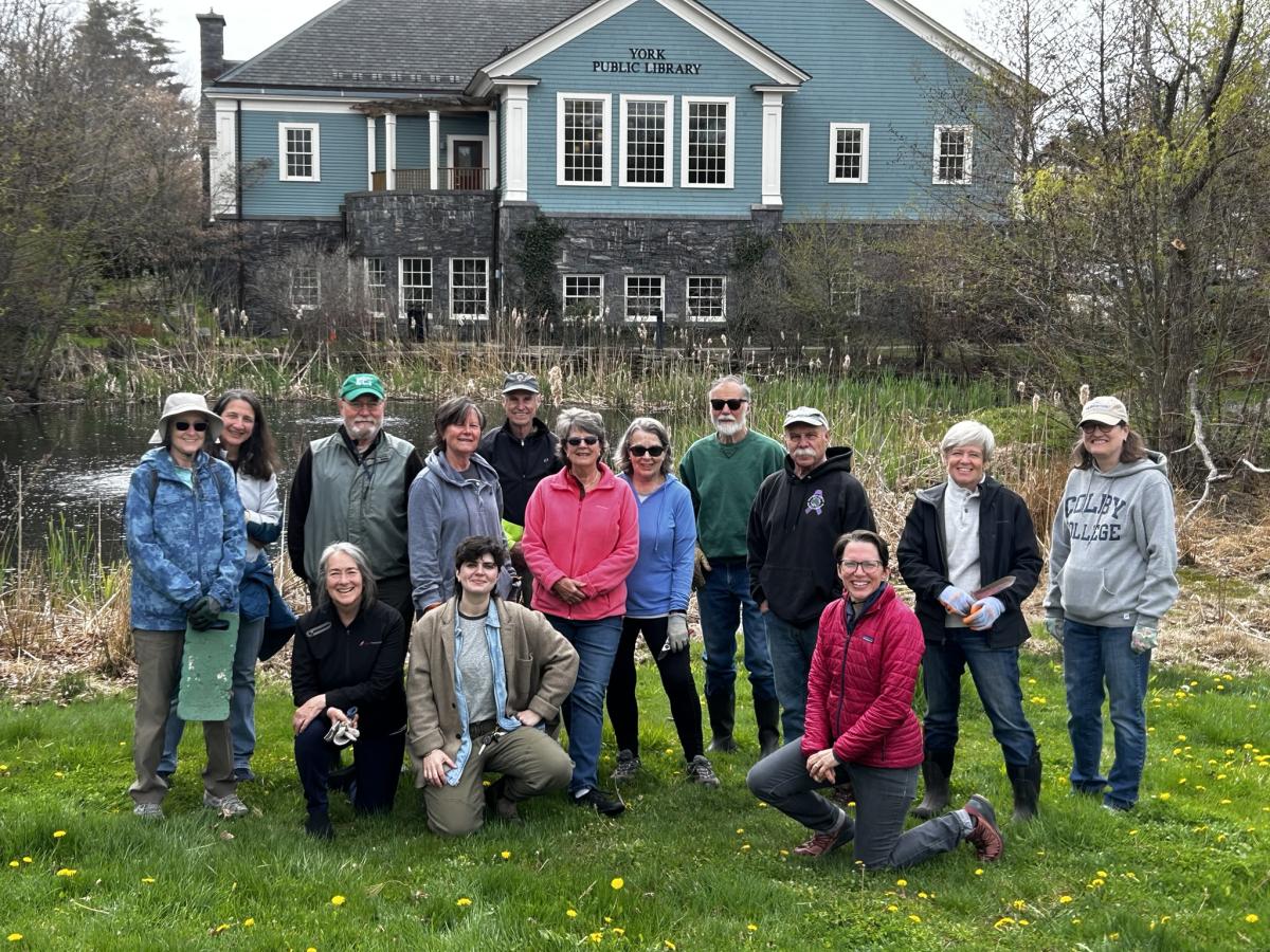 Invasive Species Clean Up Volunteers