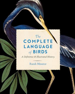 language of birds