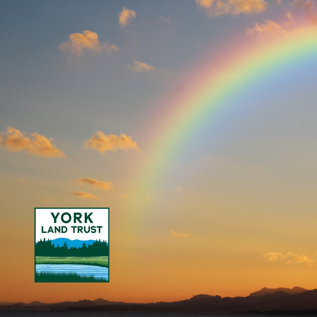 Rainbow in the sky with YLT logo