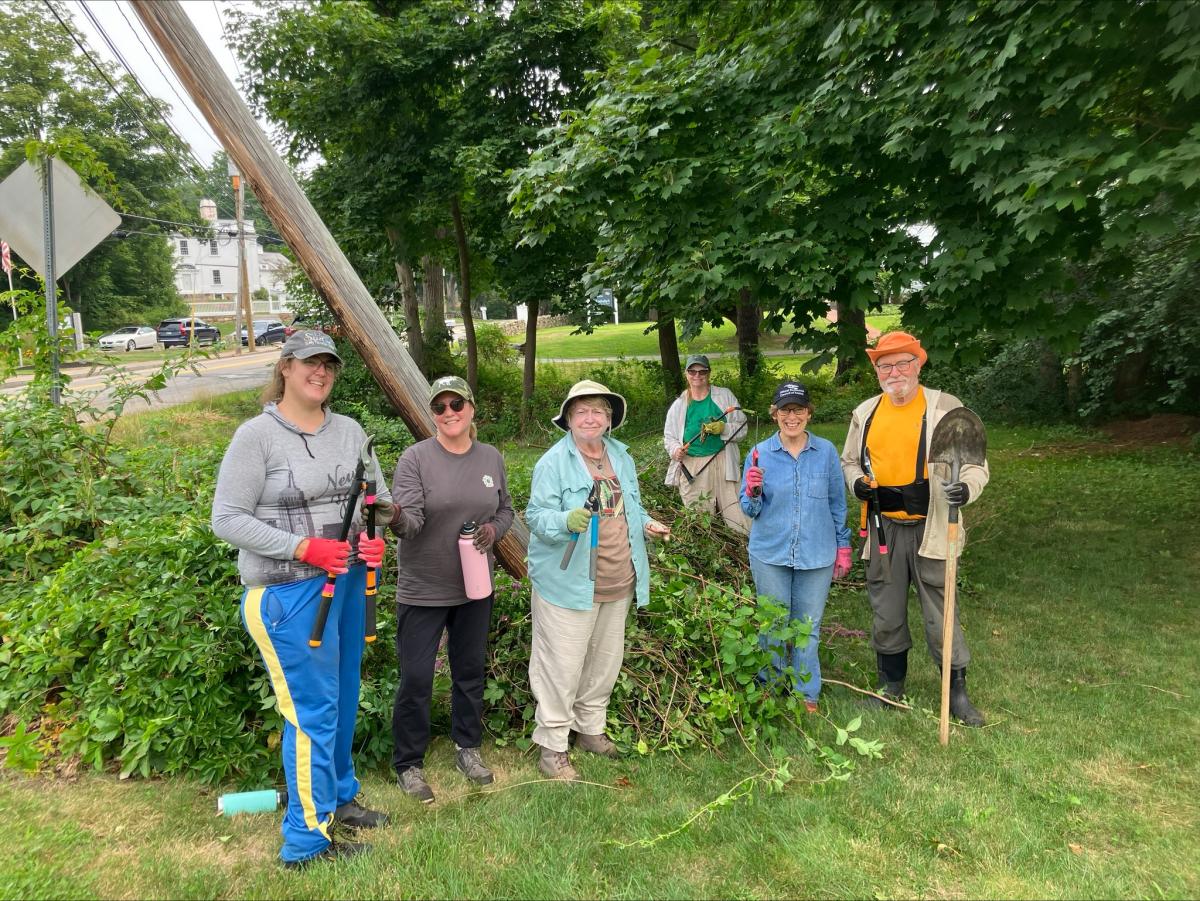 Invasive Plant Removal