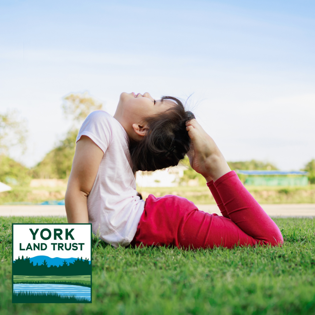 kids doing yoga in the grass