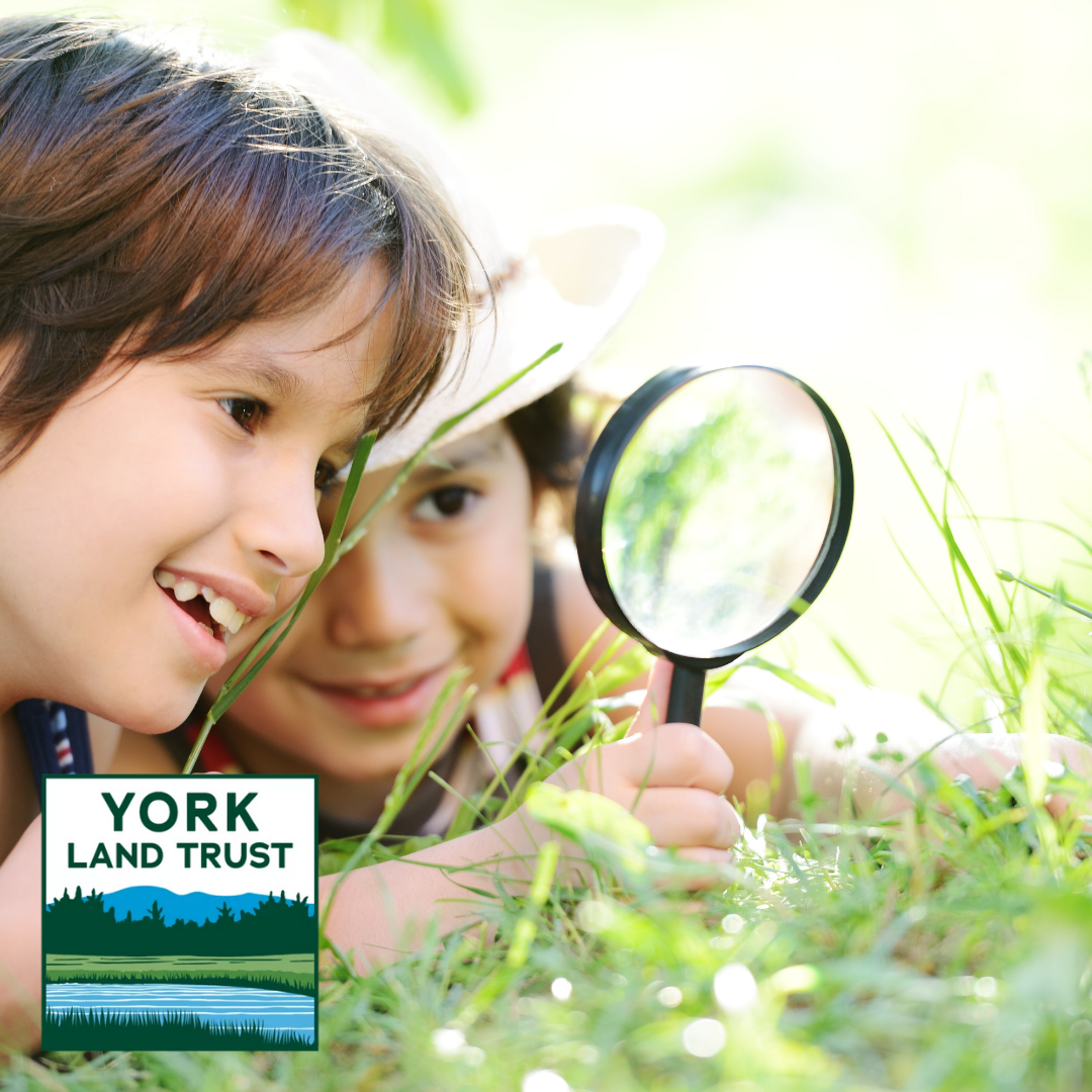 kids looking in the grass with a magnifying glass