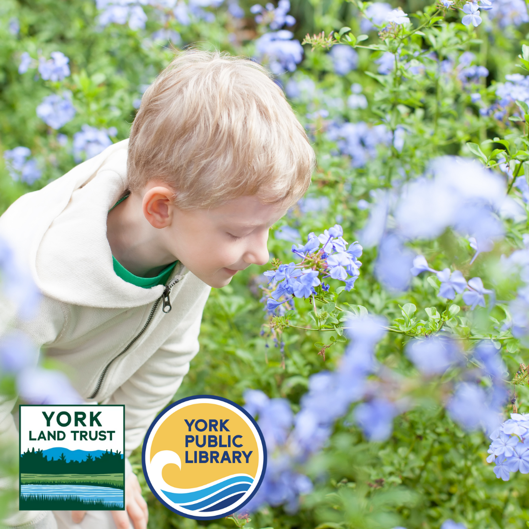 child smelling flowers with york land trust and library logos
